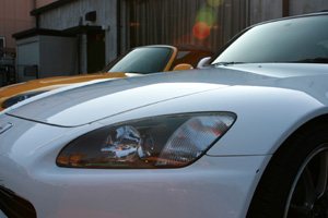 725 pikapika biz 2 IMG_1109.jpg